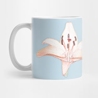 Lilium  &#39;Orange Pixie&#39;  Dwarf Asiatic lily  Photo with artistic filter applied Mug